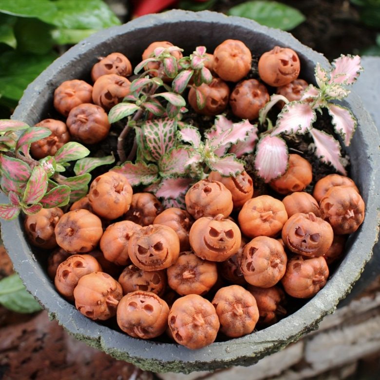 20-Pack Mini Resin Pumpkins for Halloween Decor - Hulky Deals